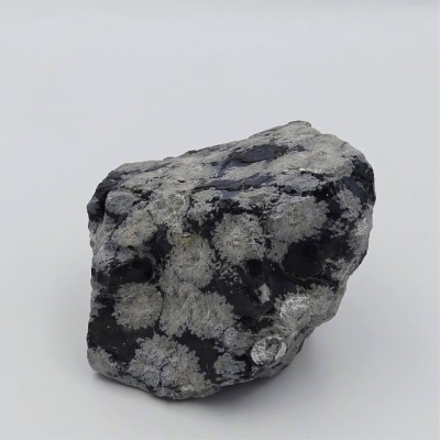 Flaked obsidian 263g, USA