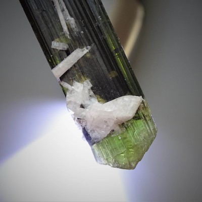 Tourmaline natural crystal 20.6g, Pakistan
