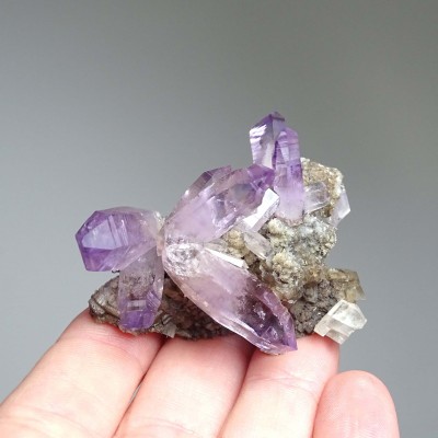 Natürliche Amethystkristalle im Gestein 38g, Mexiko