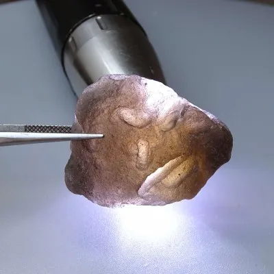 Agni Manitite tektit 21.7g, Indonesia