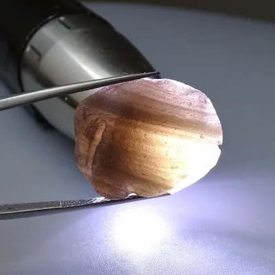 Agni Manitite Tektit 14,2g, Indonesien