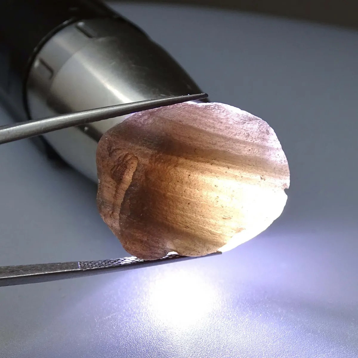 Agni Manitite tektit 14.2g, Indonesia