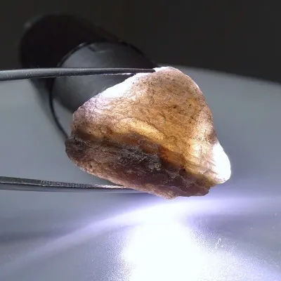 Agni Manitite Tektit 16,3g, Indonesien