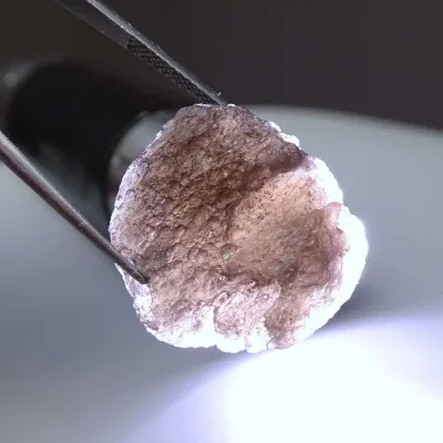 Agni Manitite tektit 10.8g, Indonesia