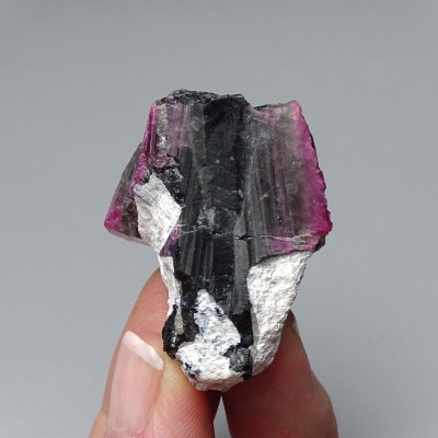 Rubelite/red tourmaline, black turmaline 31.1g, Brazil